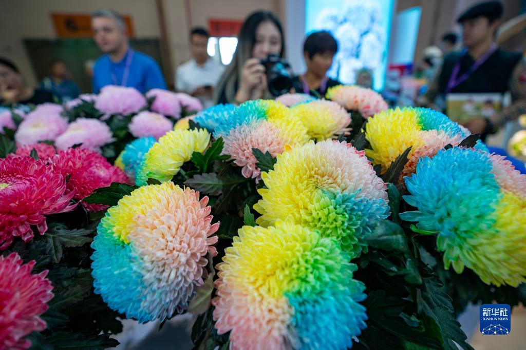 威尼斯官方在线娱乐场